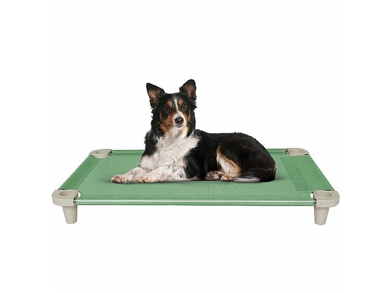 Kuranda elevated dog bed sale
