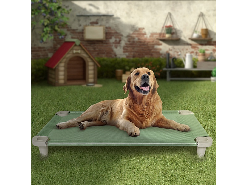 2 dog bed on sale